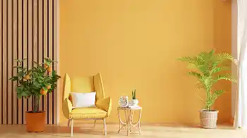 rendering contractor wollongong